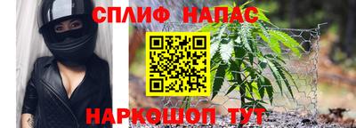 прущие крисы Шебекино