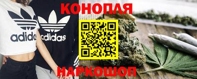 хмурый Шелехов