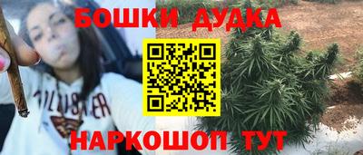 прущие крисы Шебекино