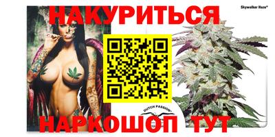 хмурый Шелехов