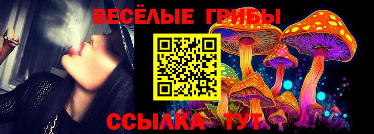 Галлюциногенные грибы прущие грибы  Галлюциногенные грибы Cubensis  Борисоглебск  Вход с VPN 